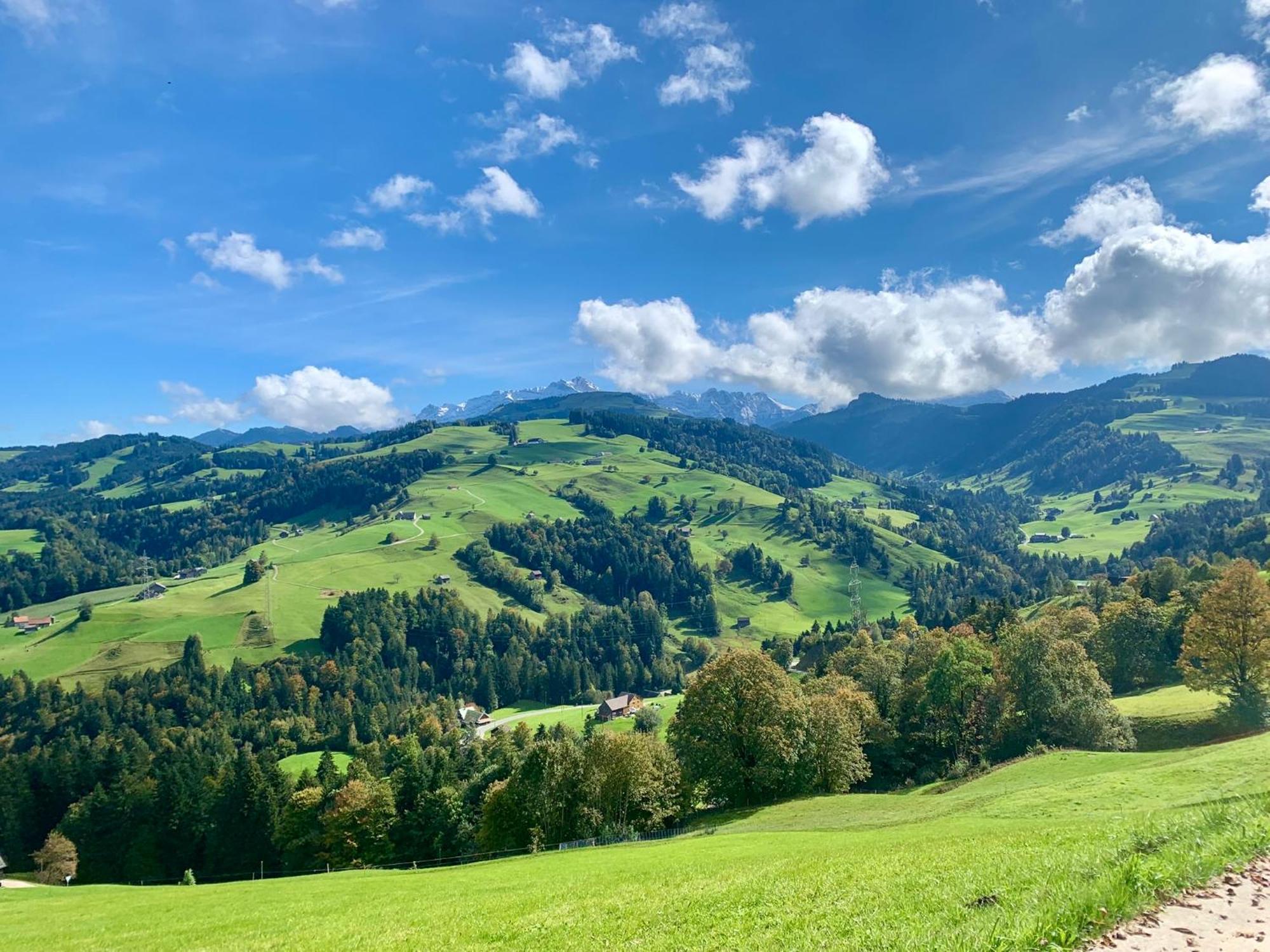 Homestay Gemuetliches Chalet-zimmer In Swiss Historic Holidays Rosalie