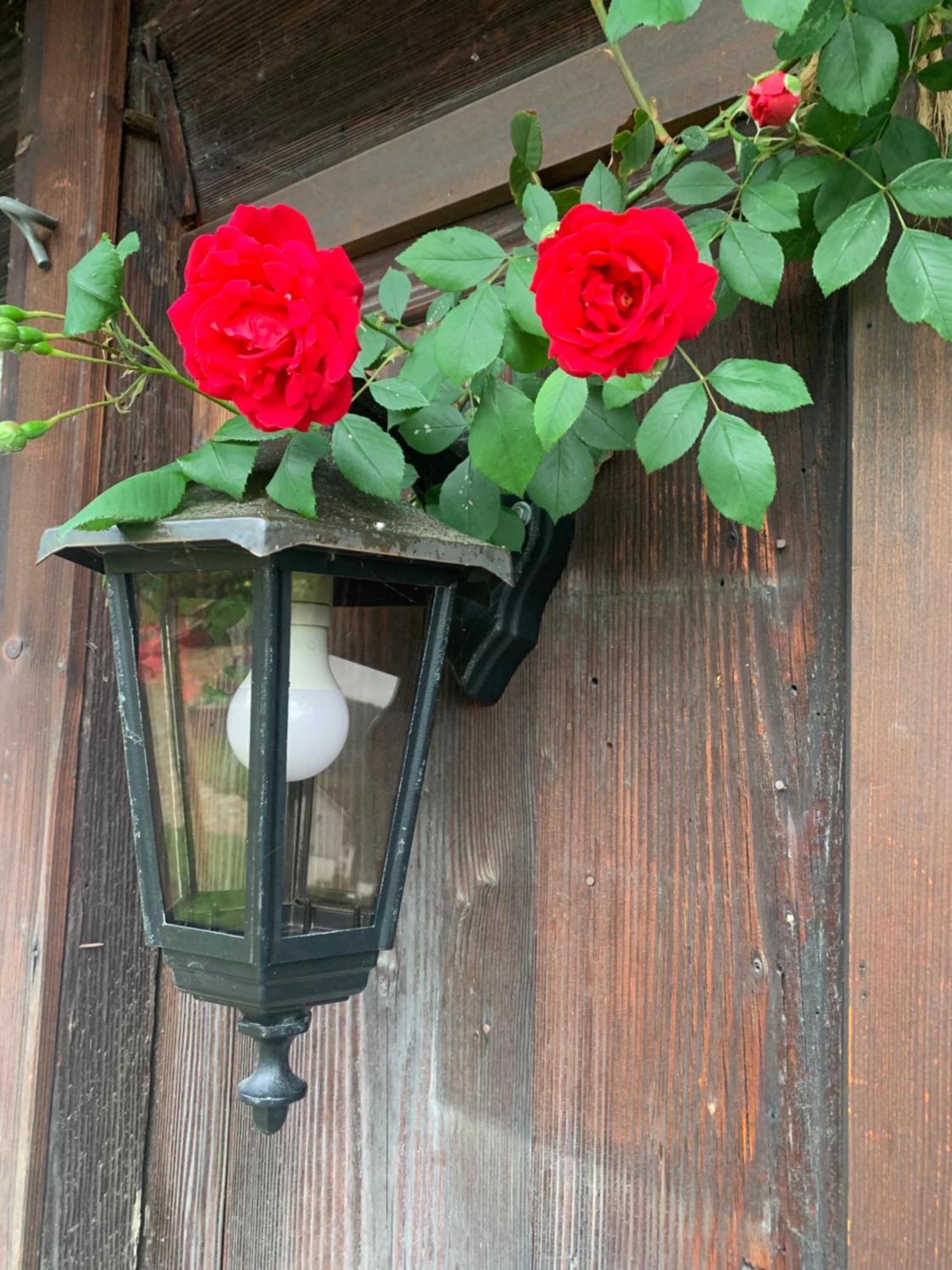 Gemuetliches Chalet-zimmer In Swiss Historic Holidays Rosalie Homestay Brunnadern