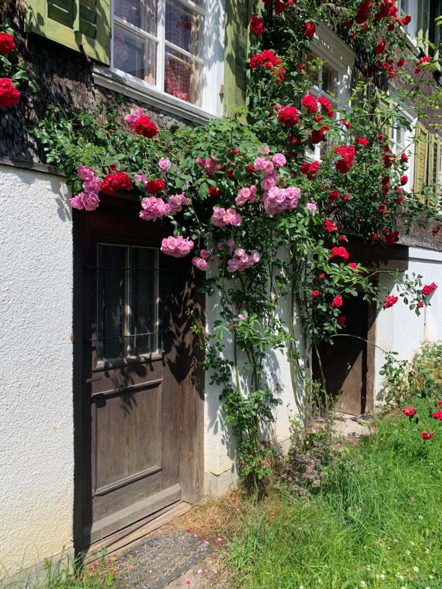 Gemuetliches Chalet-zimmer In Swiss Historic Holidays Rosalie Homestay *